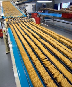 An example of food industrialization; a processing line.